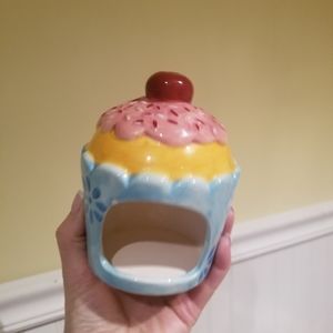 - Pier 1 Sponge Holder